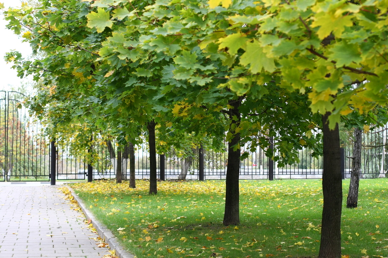 Осенние прогулки