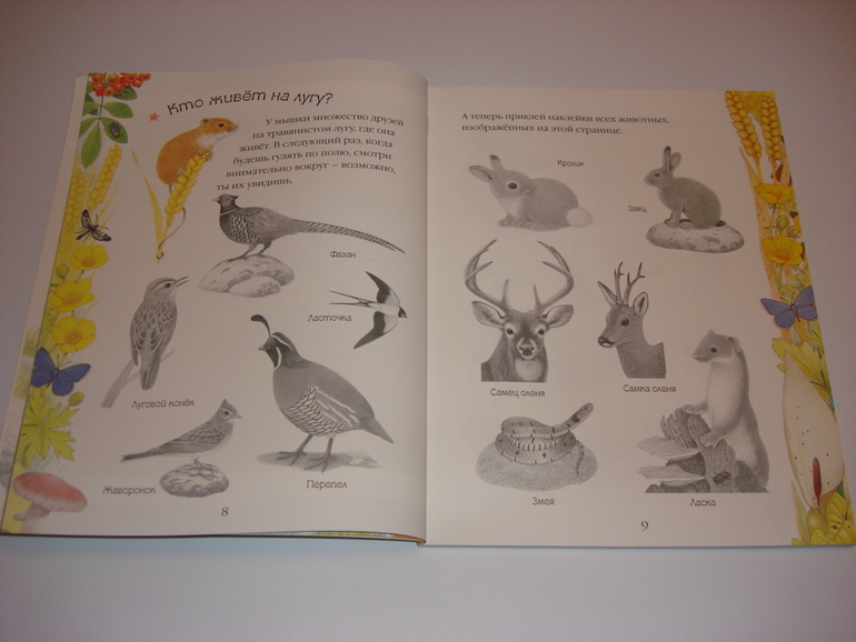 Подарочный фонд. Часть 7. Книжки с наклейками на 3 годика.