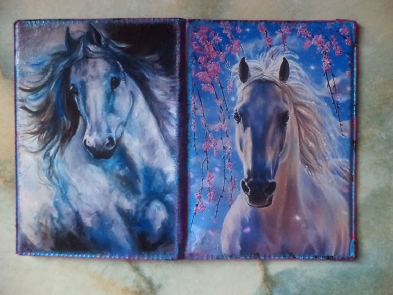 Обложка на автодокументы