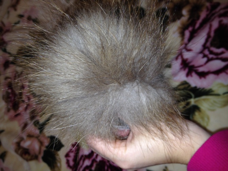 Шапка Маллика цвет зеленый+ перчатки Герда зеленые