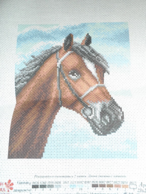 Мой хомячок))