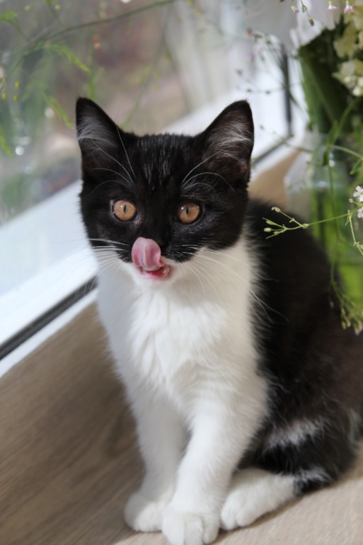 Давайте знакомится))