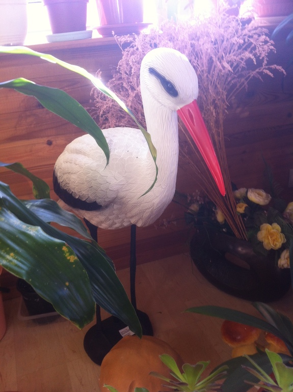 И у нас получилось!  (+фото добавлены)