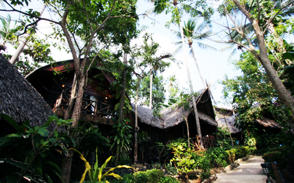 Подборка лучших туров 23 ноября. Египет, Таиланд.