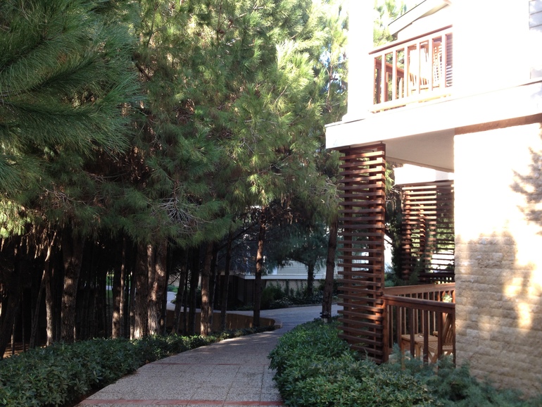 Турецкие каникулы. Воспоминания перед новыми.