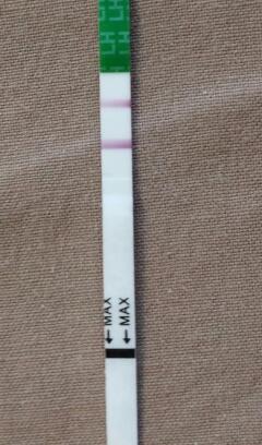 Девочки это Овуляция?