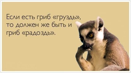 Минутка улыбки)5 шт.