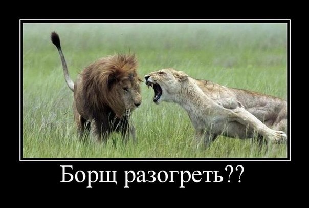 Минутка улыбки.