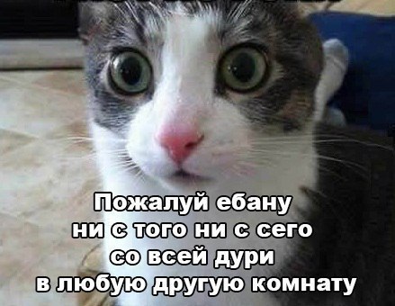 Минутка улыбки.