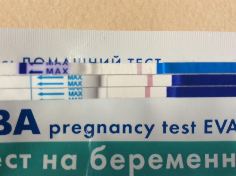 Тест на беременность ева фото