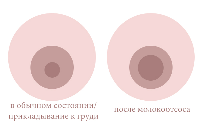 Решение шести проблем грудного вскармливания первой недели