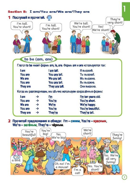 Primary grammar 3