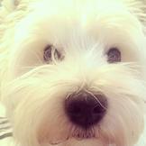 АПРЕЛЬские экошечки! Поддержите друг друга!