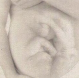 ВОТ МОЙ ПОСТ О РОДДАХ КТО ЕЩЁ НЕ ЧИТАЛ!!