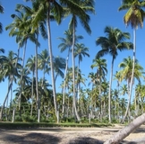 Большое спасибо