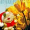 Ряды на лето 2014 для полных ножек