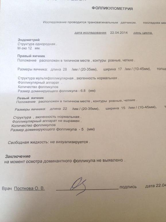 овуляция