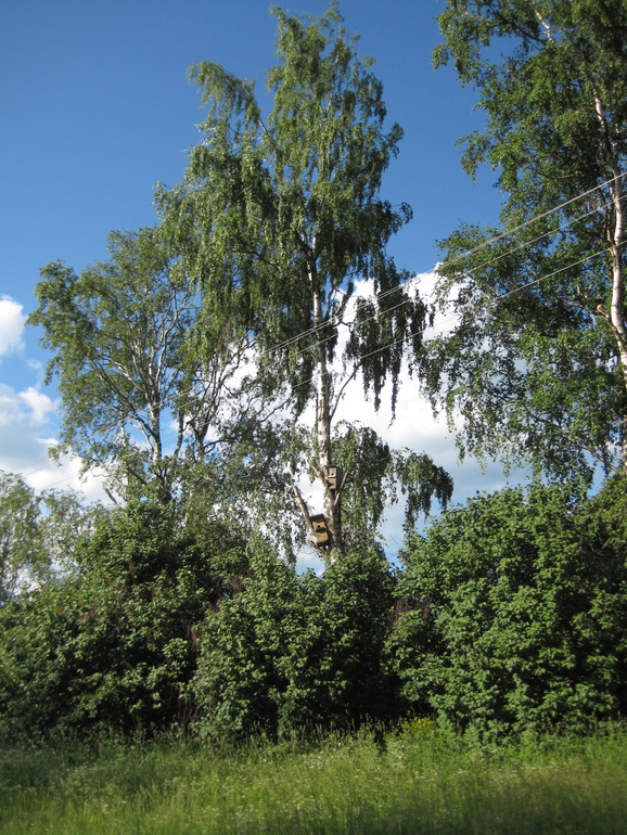 Деревня городскими глазами.