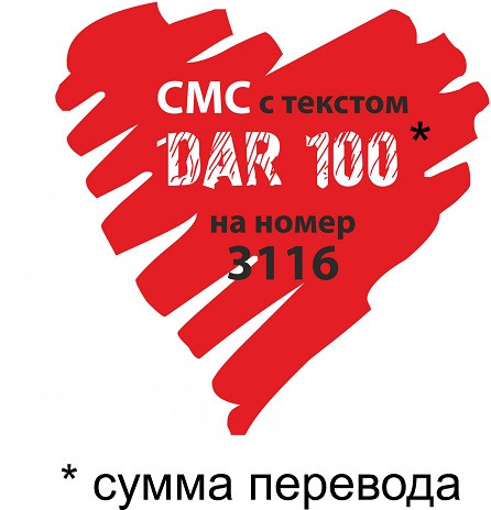 Ибрагимова София Тетрада Фалло Сумма к сбору 272 650 руб. (Прошу максимальный перепост)