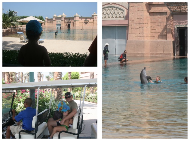 Дубай 2013. Отель Atlantis the palm *****