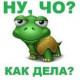 Светлана Сашина