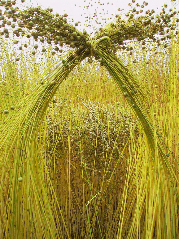 Land Art