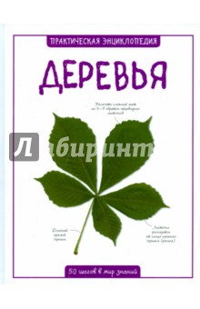 деревья