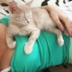 Марианна Шевлякова