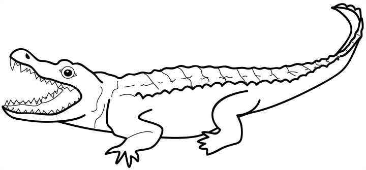 5318853bfbec53b297349215884e36c1.png