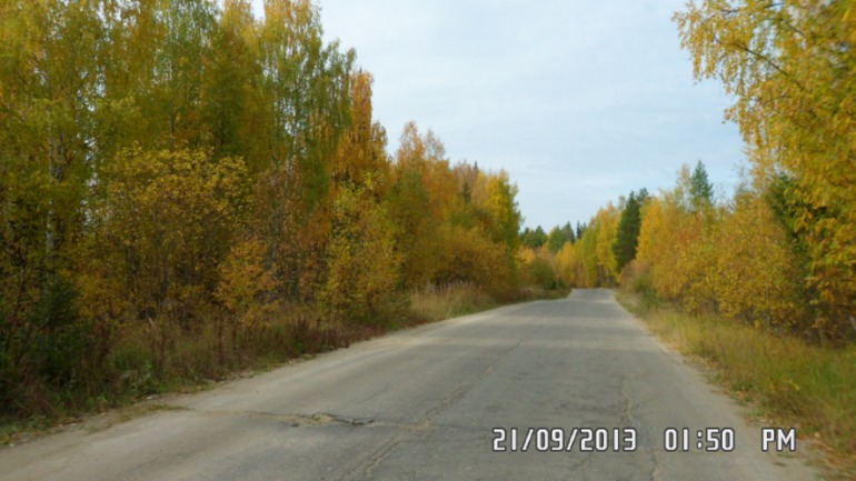 Осенняя поездка в лес