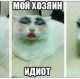 Алена