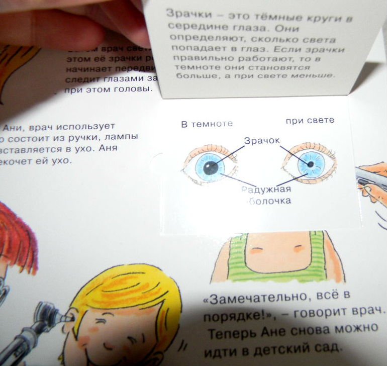 анатомия