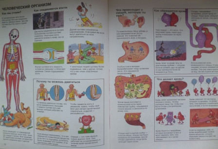 Книги из библиотеки 6