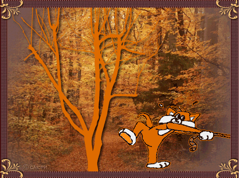 815d0b7995c62dc13bfdf48bd01a1741.gif
