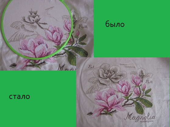 fe13df1356a1b40f22814de28dd31b75.png
