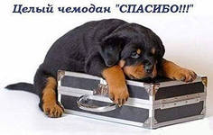 Вот и моя счастливая лягушечка прискакала!