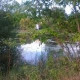 Таня Иванова