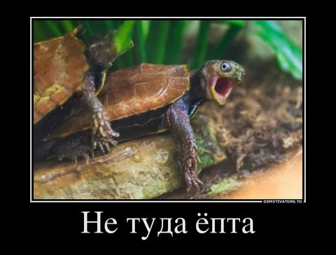 Ржунемогу