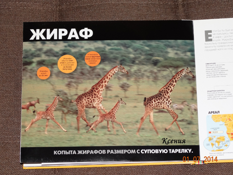 Дикие животные. Серия