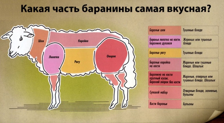 Мясо. Что для чего.