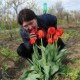 Татьяна Вольская
