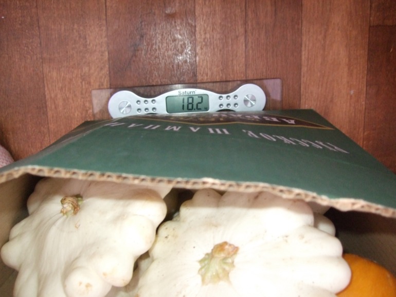 fdff316b8f1ce971d4feb1d6bb04fbff.jpg