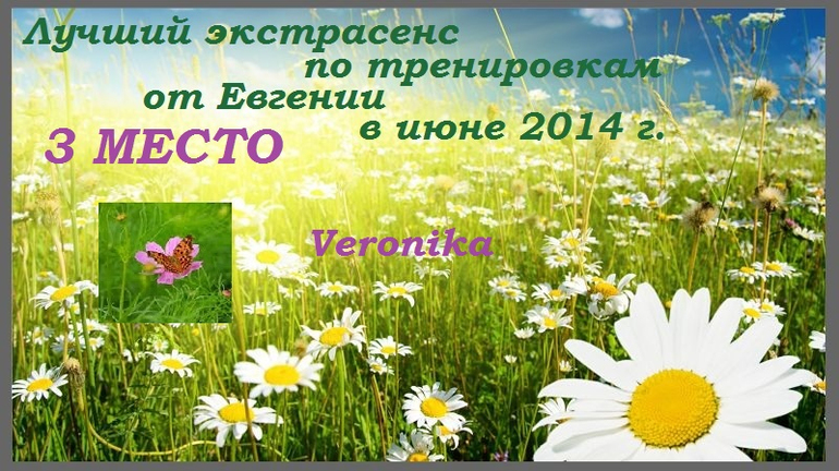 Дипломчик.