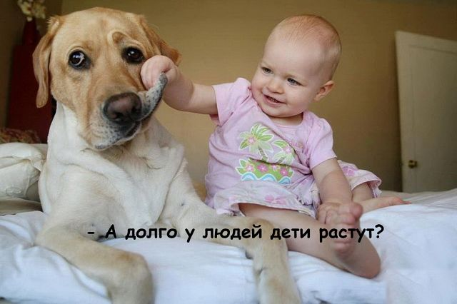 a6629f56ba870ea19e9d2bc0eefa0ff9.jpg