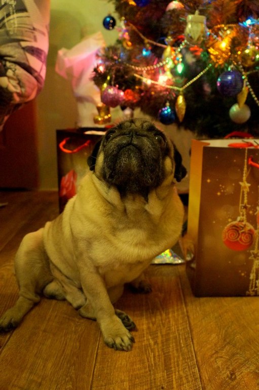 с новым годом!