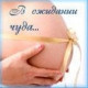 Зарина