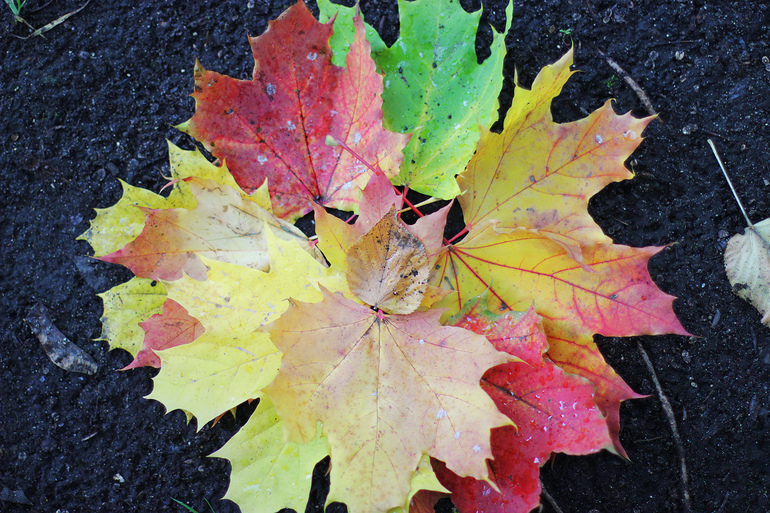 Осенне настроение 2.