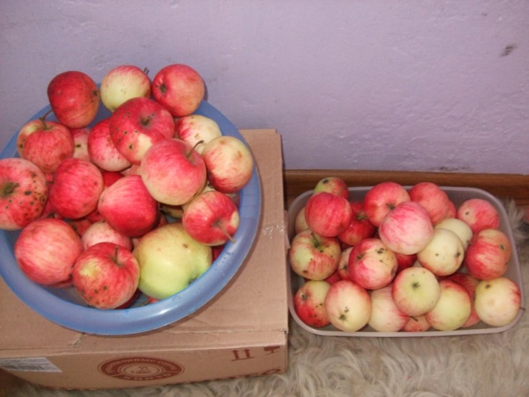 4dffe081a0750c4fea25e752c76bfd13.jpg