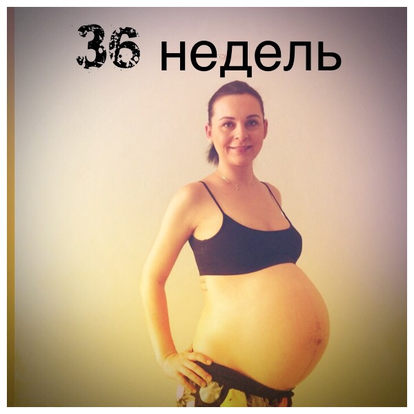 36+3