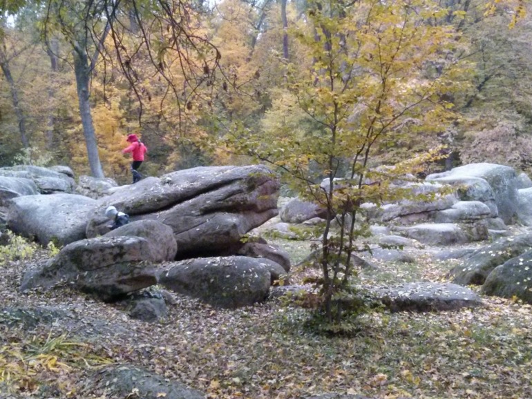 d1497ed2ab00e639d03a055d266b1451.jpg